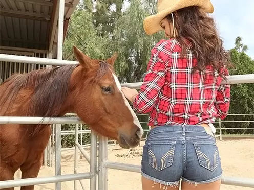 Cowgirls Cock
