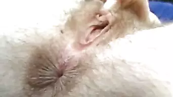 Hairy Bush Gets A Good Workout With Some Latin Cock