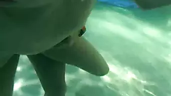Underwater Sex is the Best