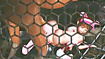 Chained 3d animated cutie with bigtits monster horse fucked