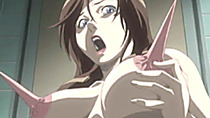 Bounching tits hentai hard doggystyle fucking